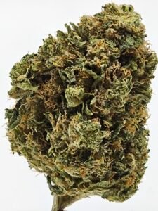 MK Ultra