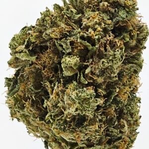 MK Ultra
