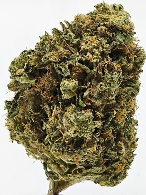 MK Ultra